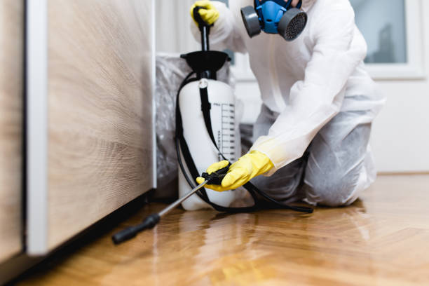 Best Mosquito Control Services  in North Granby, CT