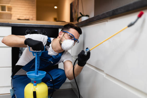 Best Rat Extermination Near Me  in North Granby, CT