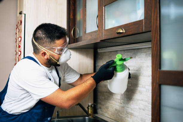 Best Emergency Pest Control  in North Granby, CT