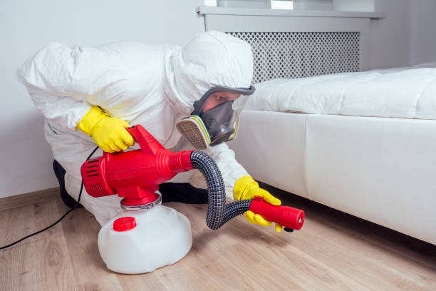 Best Insect Control  in North Granby, CT