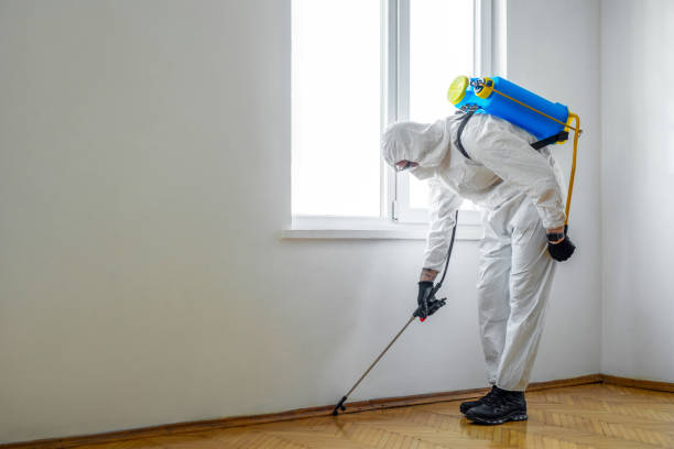 Best Wasp Removal Services  in North Granby, CT