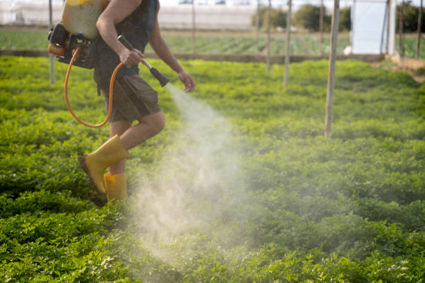 Best Affordable Pest Control Services  in North Granby, CT