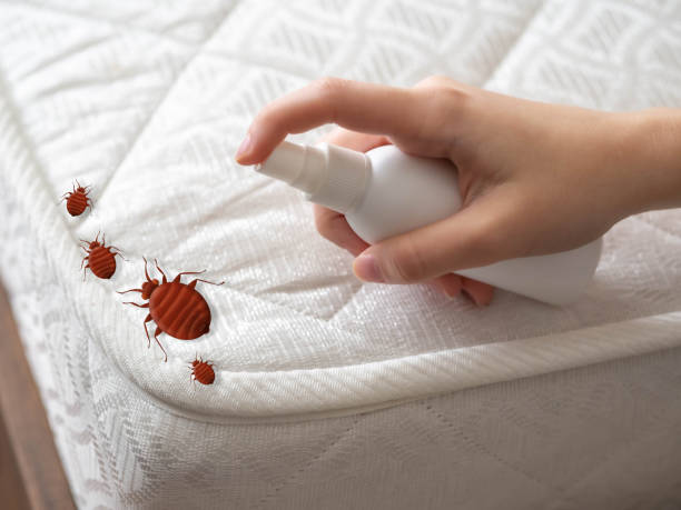 Best Cockroach Control Services  in North Granby, CT
