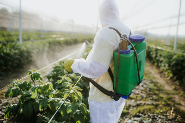 Best Flea Control Services  in North Granby, CT
